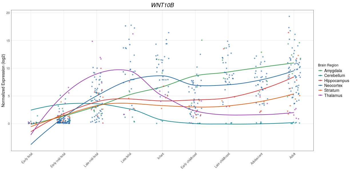 Brainspan gene plot